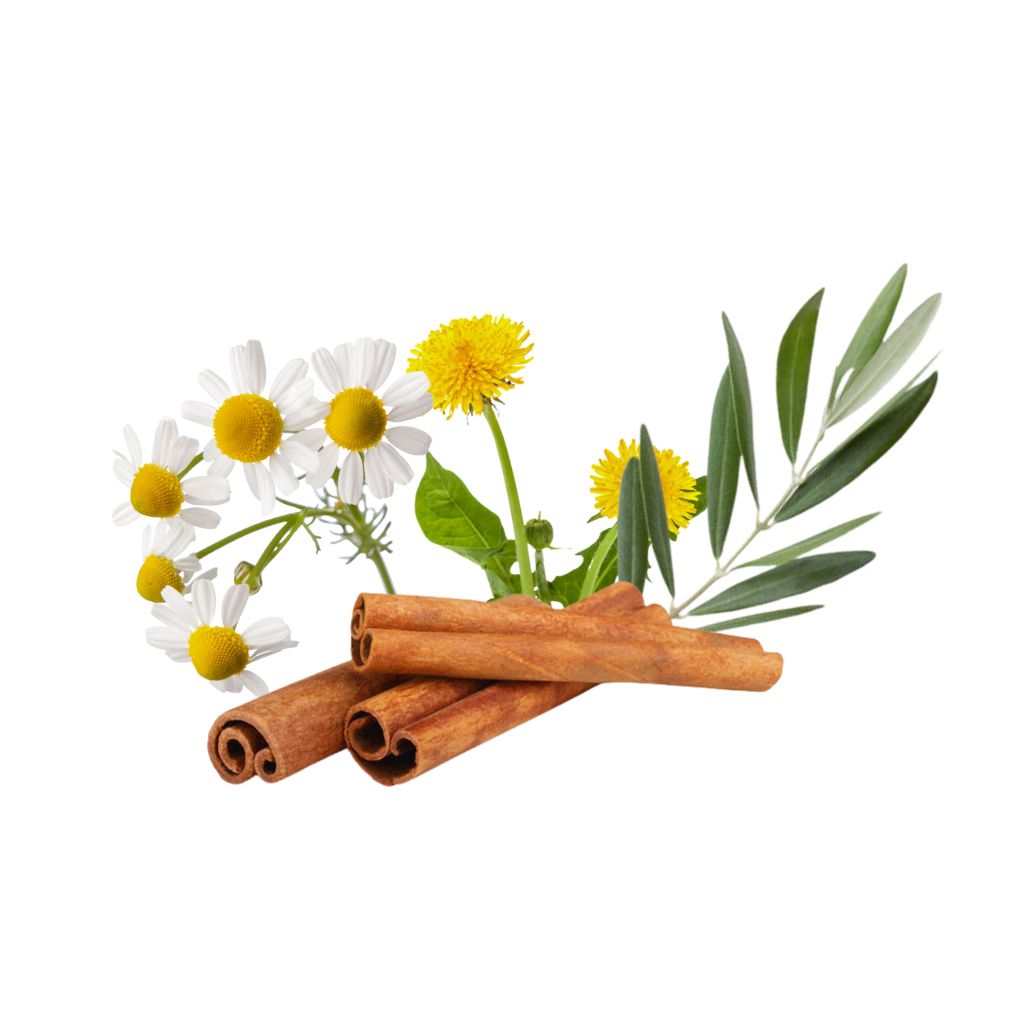 Benutzername andreas Passwort gu9.XbVtwHhGFj3KNC2rW qx8 14